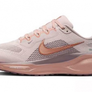 Nike Pegasus 41
